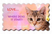 Love Starts In The Eyes