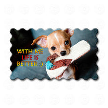 Chihuahua - With Me Life Is Better