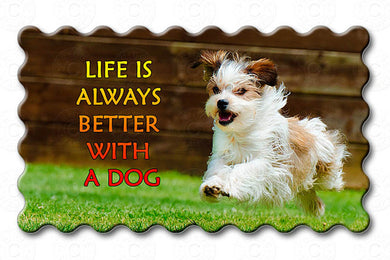 Life Is Always Better With A Dog