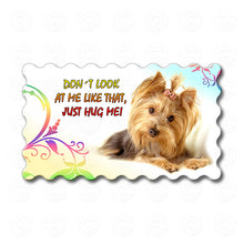 Yorkie - Don't look at me like that, Just hug me