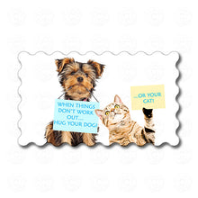 Yorkie, American Bobtail - When Things Don't Work Out