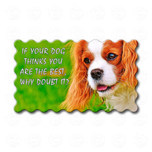 Cavalier King Charles Spaniel - If Your Dog Thinks You're The Best, Why Doubt It?
