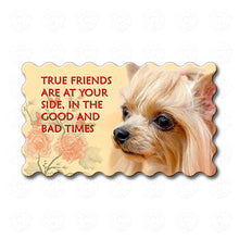 Yorkie - Friends Are At Your Side In The Good And Bad Times